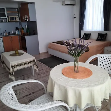Beautiful Studio At Silver Springs Sunnybeach 公寓 阳光海滩