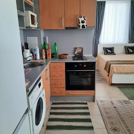 Beautiful Studio At Silver Springs Sunnybeach 公寓 阳光海滩